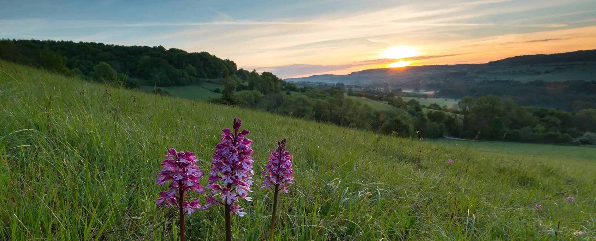 Bliesgau – Das UNESCO-Biosphärenreservat im Saarland