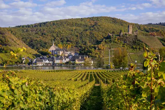 Beilstein