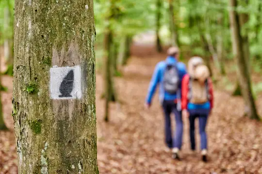 Wanderer auf dem Hinkelstein-Weg