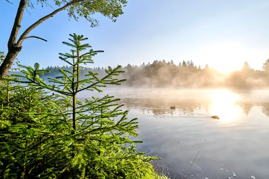 Der Fichtelsee