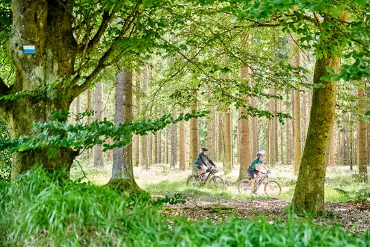 Mountainbike im Fichtelgebirge