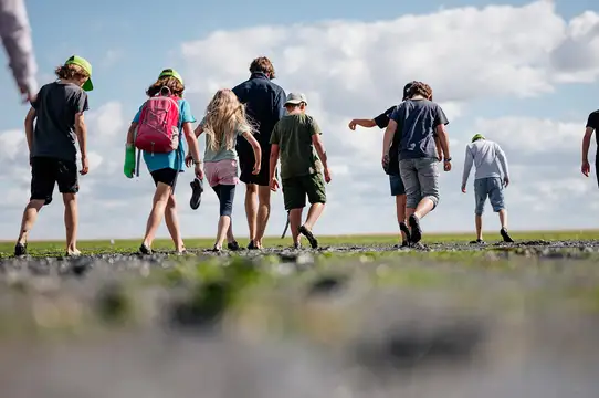 Nordsee entdecken