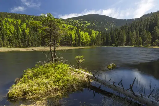 Kleiner Arbersee
