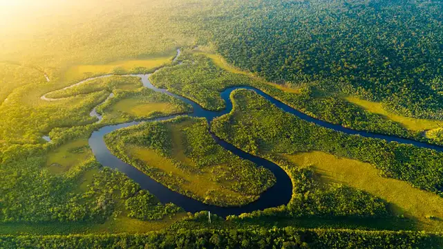Luftaufnahme vom Amazonas