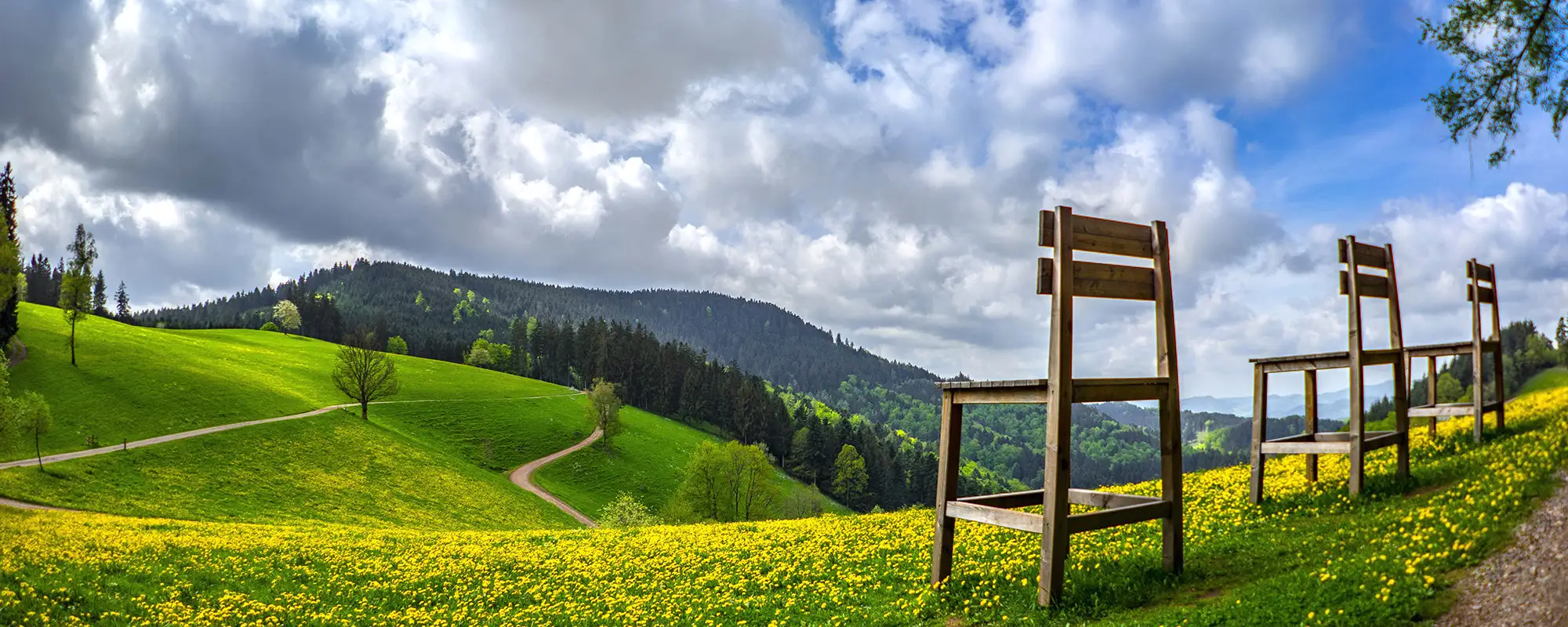 Mittlerer Schwarzwald: Gengenbach, Hamersbachtal