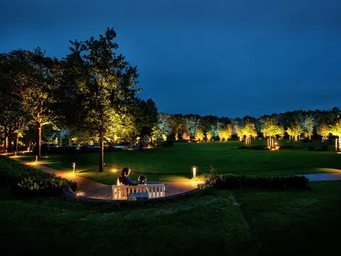 Park im Licht