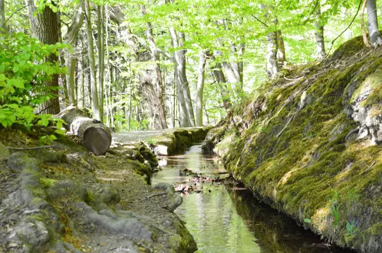 Wanderparadies Schwalenberger Stadtwasser