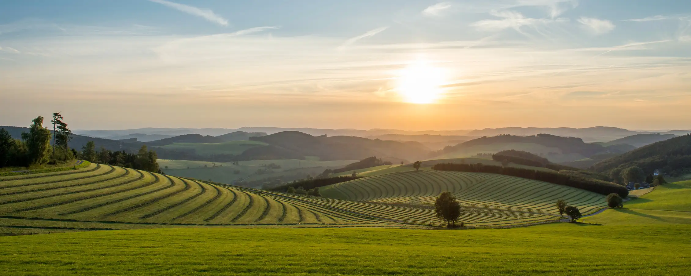 Schmallenberger Sauerland & Ferienregion Eslohe