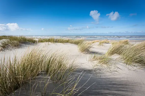 Autofreie Nordseeinsel Langeoog