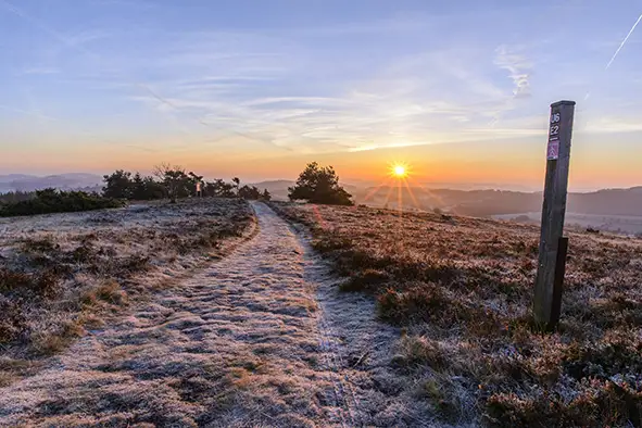 Lieblingsplätze und Herzenswege eröffnen Aussichten und Einblicke